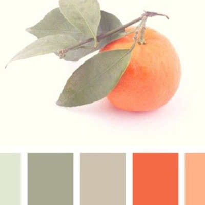 نمایشگاه گروهی هنرهای تجسمی در بوشهر گشایش یافت