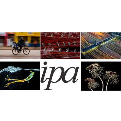 شش برنده مسابقه عکاسی IPA معرفی شدند